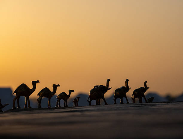Like a camel caravan in the desert