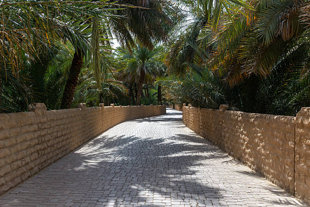 Horizontal, symmetrical shot of a curving, receding cobblestone pathway (pavers) leading through a dense date palm grove or oasis. The path is bordered on both sides by low, textured sandstone-colored walls. The thick canopy of palm fronds above creates a deep, dappled pattern of light and shadow on the walkway, emphasizing the cool, shaded environment within the intense desert heat.