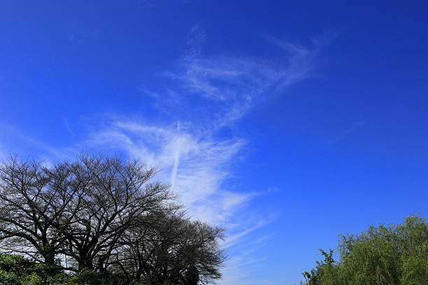 Scenery of Saitama, Japan