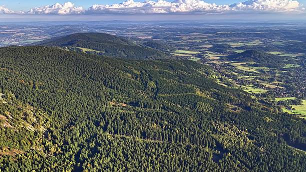 istock Experience natures beauty in this aerial video over a lush forest 2239081403