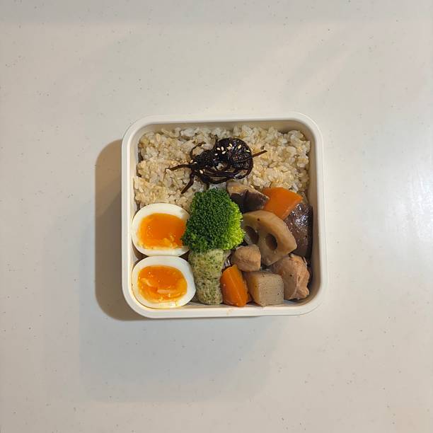 Bento or dosirak box filled with rice, assorted side dishes, vegetables, and protein like meat or fish, all neatly arranged to create a balanced, colorful, and visually appealing meal