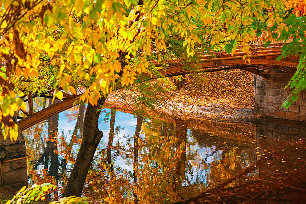 Stunning autumn scene where railed bridge spans tranquil waterway, beautifully reflecting the vibrant foliage of surrounding trees in a serene park. European park in Budapest during fall season