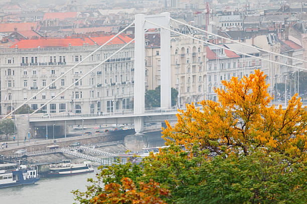 Elisabeth Bridge over the Danube River in Budapest, Hungary, framed by vibrant autumn trees with historic city buildings visible in background. Bridge connecting Buda and Pest