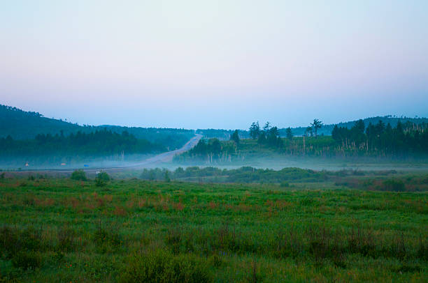 Right before a sunrise, fog spreads over the forest and fields