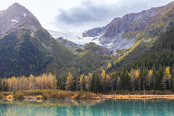 istock Alaska wilderness landscape with glacier, water reflection, and autumn forest. Glacier and Forest Reflected in Lake, Chugach Mountains, Alaska. Wild nature of Alaska. Remote nature 2239098363