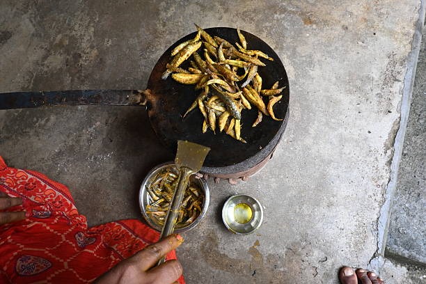 Real people from rural India: Happy senior woman is looking at camera while cooking traditional food called Bereo in Himachal Pradesh in her adobe kitchen on bonfire.
