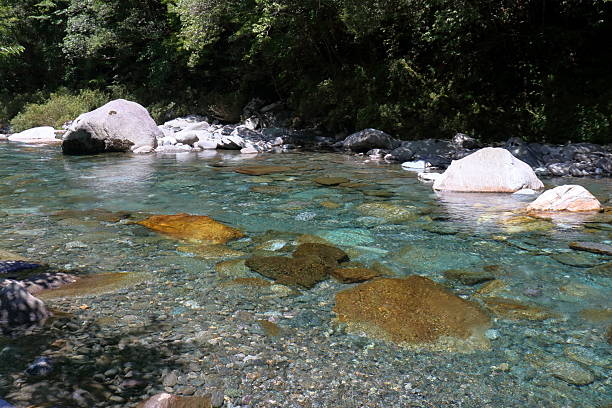 istock Beat the heat at Asemigawa River (Motoyama Town, Kochi Prefecture) 2239101919