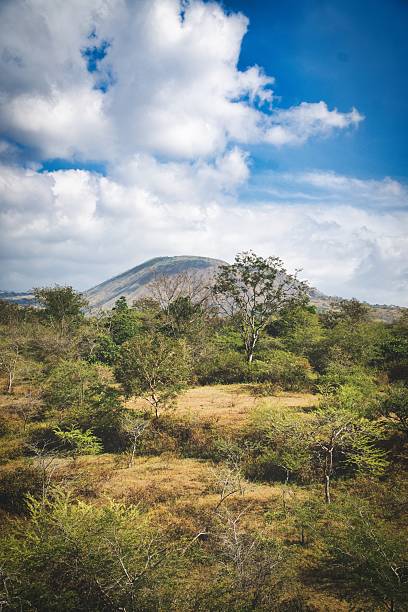 istock My journey through the islands of Indonesia 2239106918