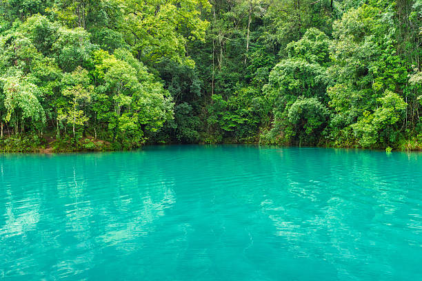 A clear stream among green mountains and clear waters
