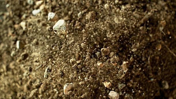 Freeze Motion Shot of Soil Explosion , Top Shot