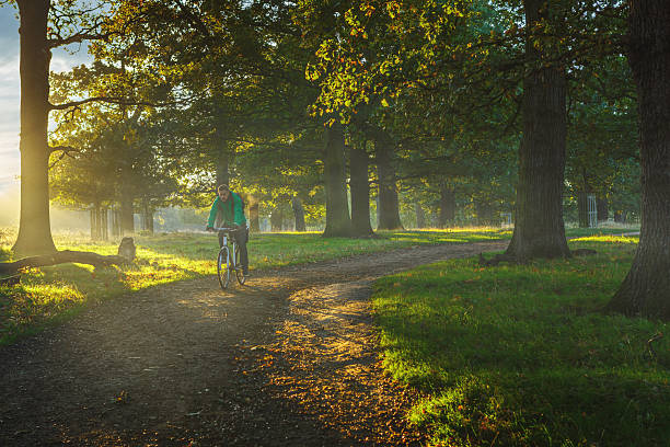 istock Young man cycling along tree lined dirt path through misty Richmond Park in London during golden hour sunrise 2239111744