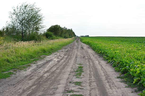 Dirt Road Through Farmland A Rural Landscape View