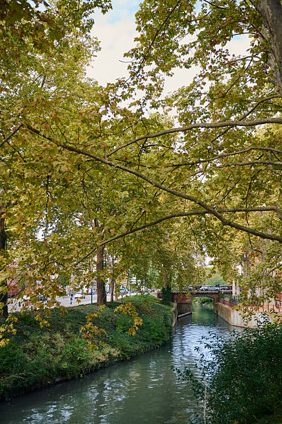 istock Toulouse canal du midi bordered by autumn trees 2239120200