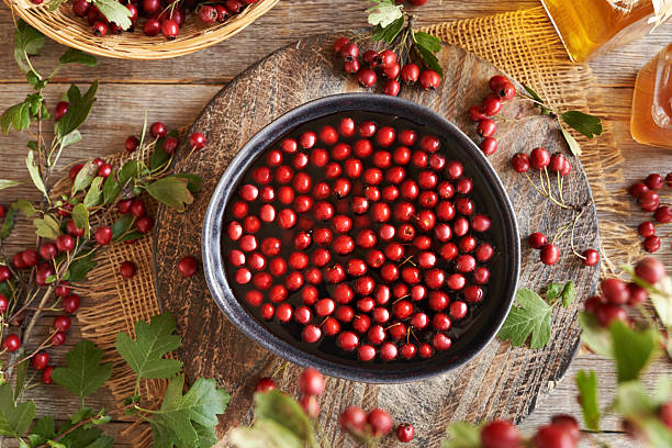 istock Making medicinal wine from fresh hawthorn berries 2239122375