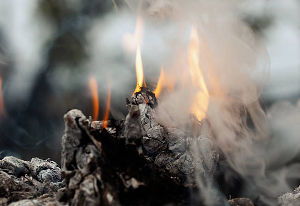 Close-up of a forest fire. Environmental protection.