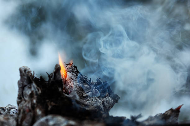 Close-up of a forest fire. Environmental protection.