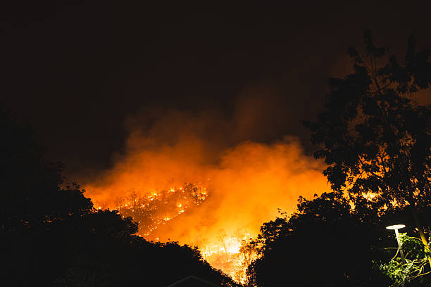 istock A forest engulfed in flames during a wildfire season intensified 2239131551