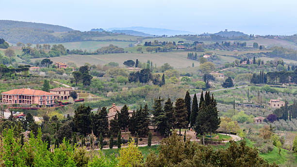 istock Rolling hills and picturesque vineyards create a tranquil countryside landscape 2239133025