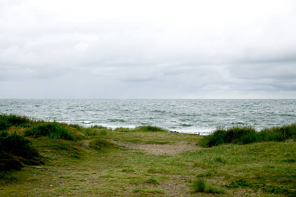 White sandy beaches on Denmark's coast, bathed by the Baltic Sea in summer..