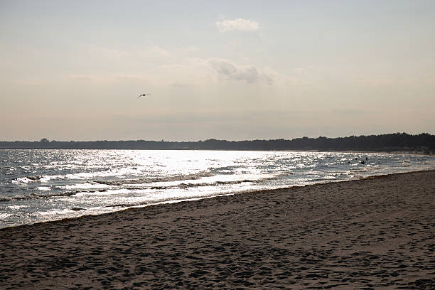istock White sandy beaches on Denmark's coast, bathed by the Baltic Sea in summer. 2239146361