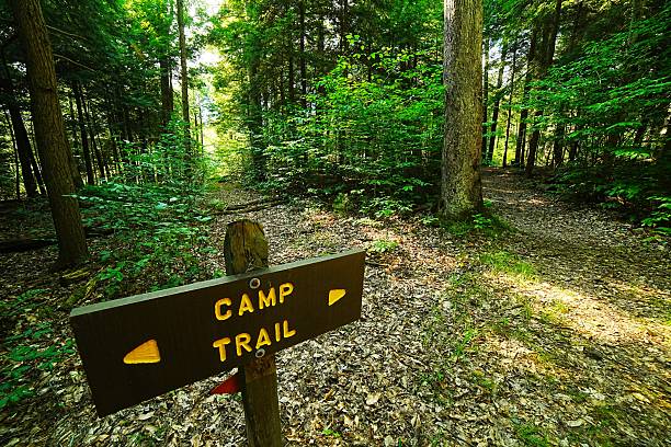 istock Camp Trail and Old Growth in Cook Forest State Park Pennsylvania 2239155354