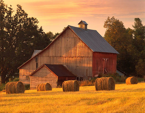 istock Barn, North Hero, Vermont 2239159142