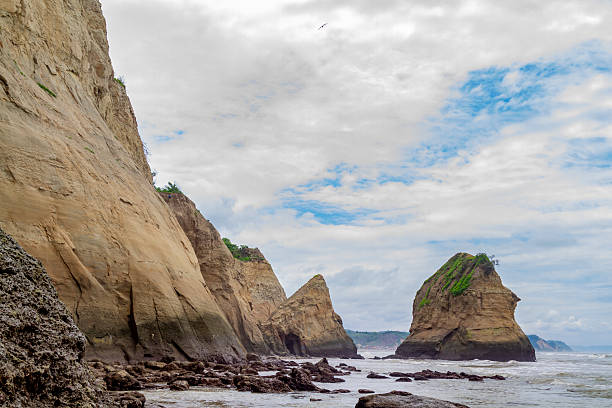 istock Manabi's Ecuadorian Coastal landscape featuring cliffs and rock formations along the ocean, Lain / South America 2239159493