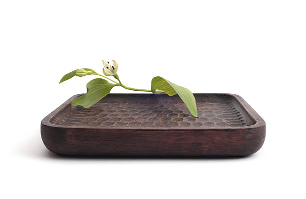 Green leaf, Wood brown stump tray plate platform podium on white background. Minimal empty display product presentation scene. Top view.