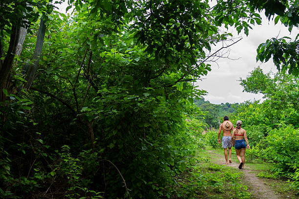 istock Couple walking barefoot on jungle path holding hands during their honeymoon vacations in Rio de Janeiro, Brazil 2239160701