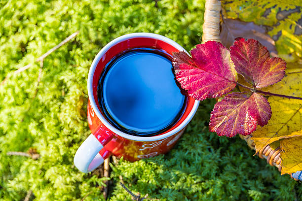 Top view of a red ceramic coffee mug decorated with vibrant red autumn leaves on green moss, perfect for seasonal beverage and health product marketing.