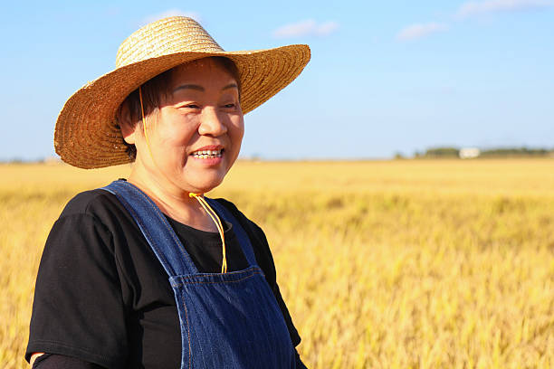 istock Asian female elder farmer smiling in rice field 2239165249