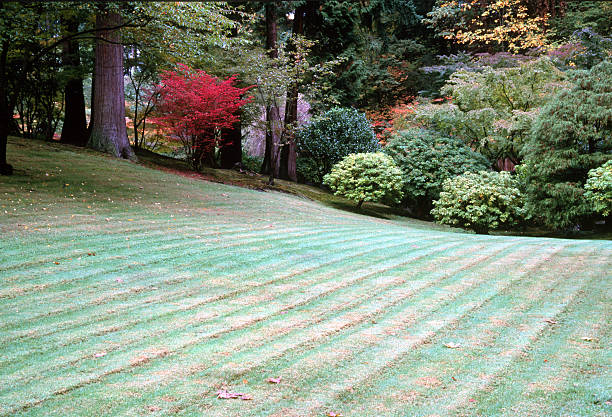 Portland, Oregon in autumn
