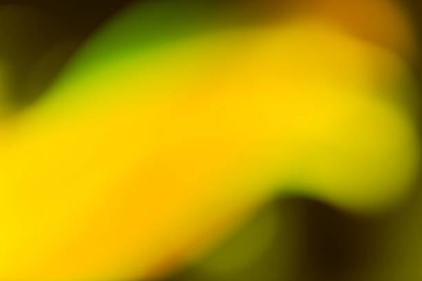 istock Vivid blurred colorful wallpaper background 2239170573