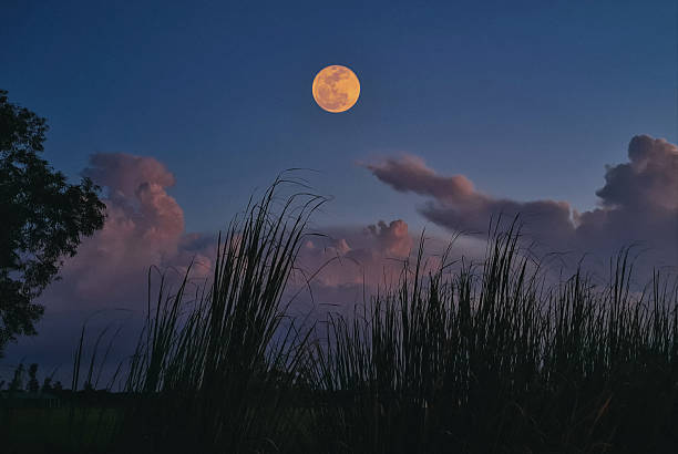 istock full moon over the corps field 2239174330