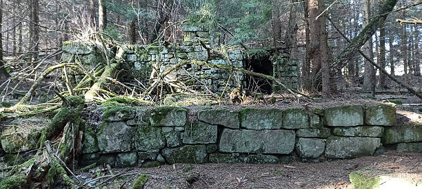 istock Moss-Covered Stone Ruins Hidden in Forest 2239177568