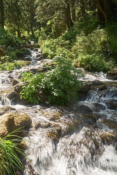 istock beautiful waterfall in Carpathian mountains Ukraine 2239185688