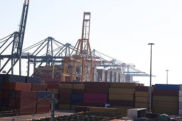 Container Ships and handling machinery in operation