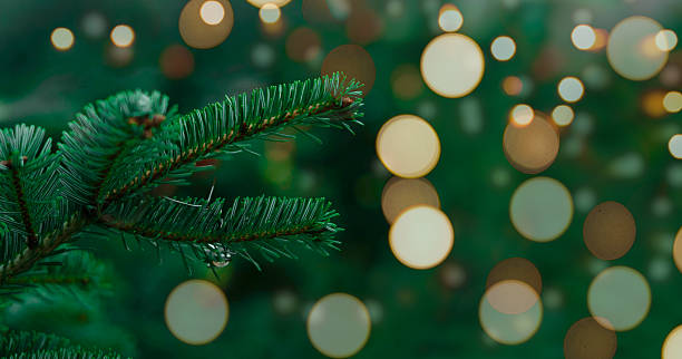 istock Decorative green pine branch with blurred festive lights in the background, copy space 2239191037