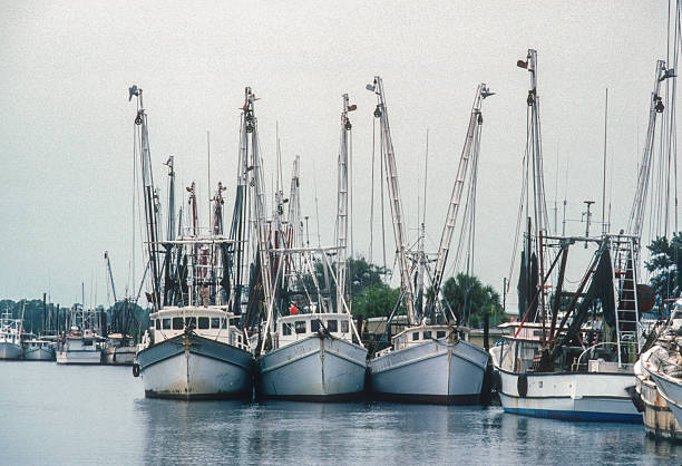 istock Tarpon Springs - Sponge Boats in a Row - 1984 2239195391