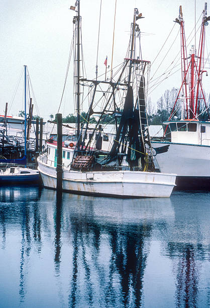 istock Tarpon Springs - Sponge Boats & Reflection - 1984 2239195597