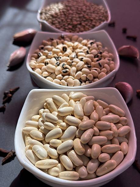 White beans, lentils, and black-eyed peas in white bowls on a black surface. Healthy, wholesome, plant-based food.