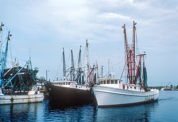 two Georgian fishing trawler boats at Black Sea