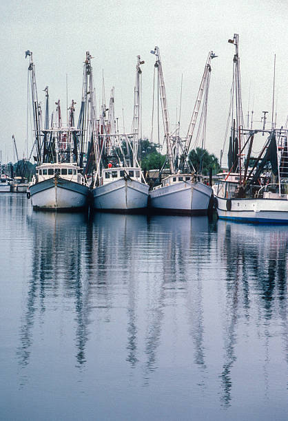 istock Tarpon Springs - Sponge Boats in a Row Vertical - 1984 2239195725