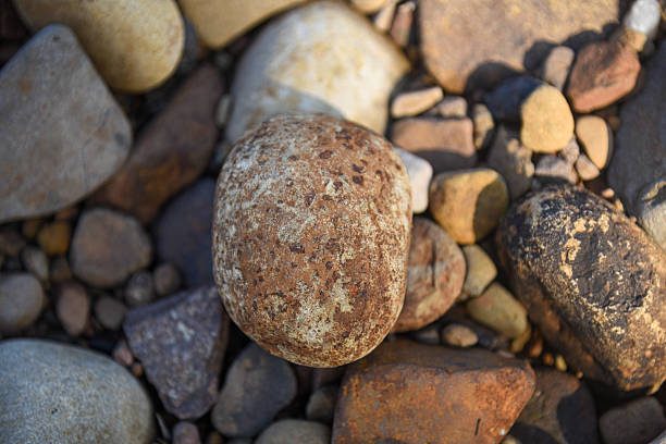 Smooth river pebbles in southern Brazil, shaped by the water flow, reflecting natural tones and textures in a serene freshwater landscape