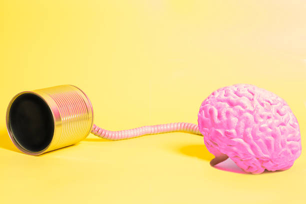istock tin can phone with human brain anatomical model. communication concept 2239202866