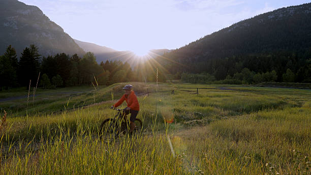 istock Man rides e-bike in mountain meadow 2239204692