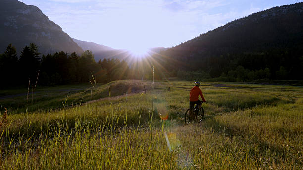 istock Man rides e-bike in mountain meadow 2239204705