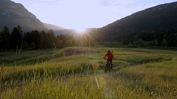 istock Man rides e-bike in mountain meadow 2239204707