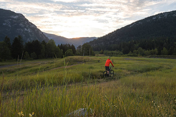 istock Man rides e-bike in mountain meadow 2239204717