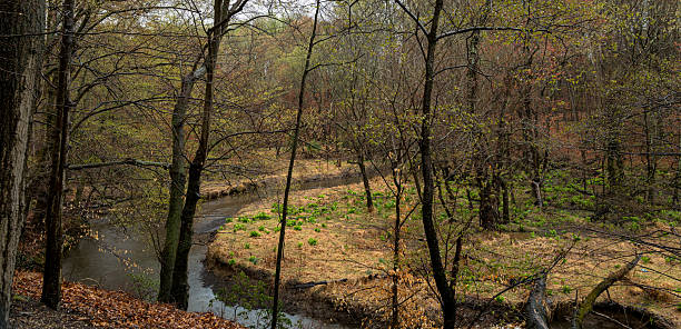 istock Winding creek through rainy and wet meadows 2239216950